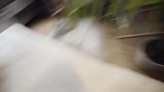 Amatör parsex vid fönstret i en trevlig morgon